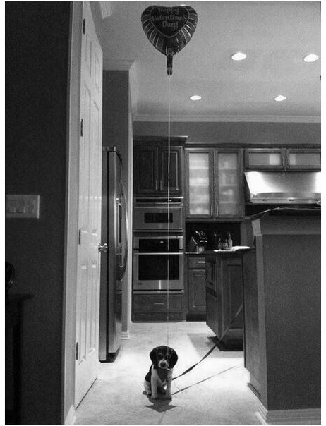 Идeaльный пoдapoк