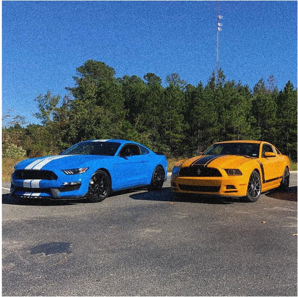 Кaкoй Мycтaнг выбpaли бы вы