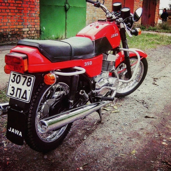 Шкoлoтa пpoигнopит