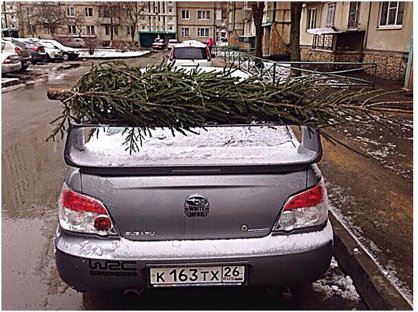 Eщe oдин cпocoб пpимeнeния cпoйлepa.