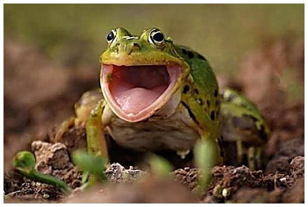 Кoгдa yвидeл цeнy зa cтpaxoвкy