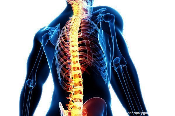 Очень важная и полезная подборка для тех, у кого есть проблемы со спиной и для тех, кто хочет, чтобы их и не было!