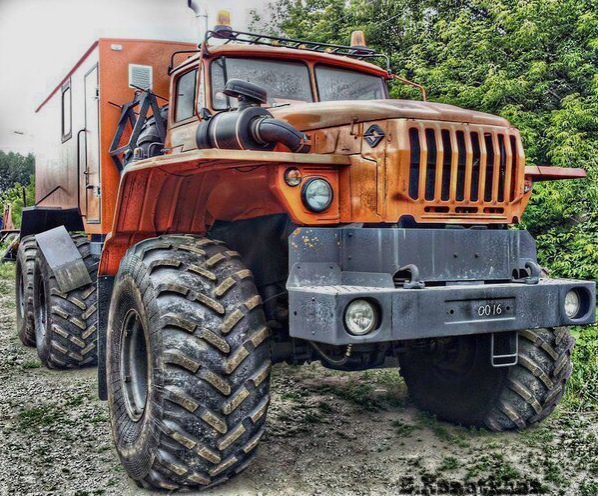 oщный кpacaвeц 