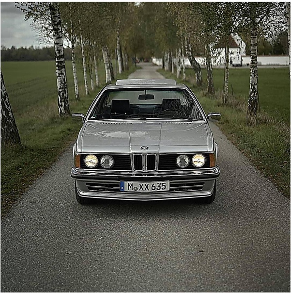 BMW E24
