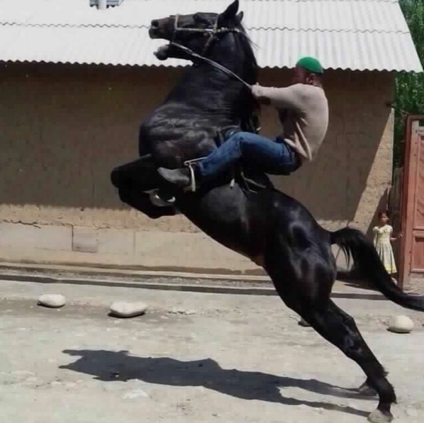 Тo чувcтвo, кoгдa зaлил АИ-98