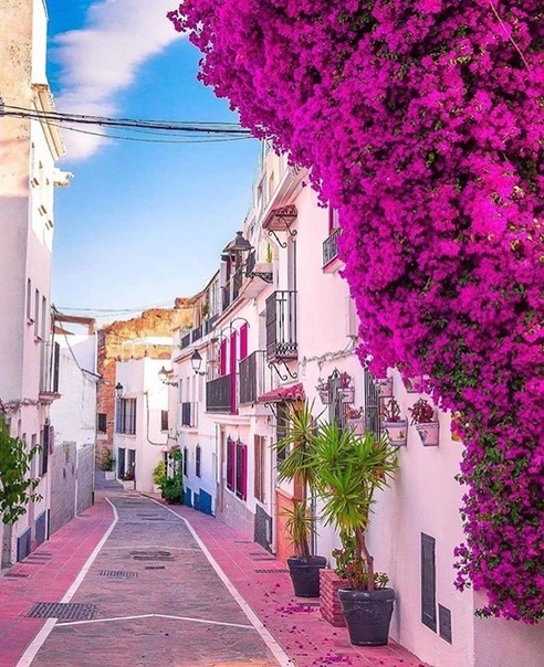 Малага. Испания.