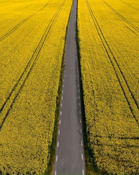 По дороге через весенний Сконе 