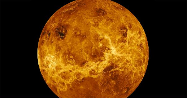 Российская академия наук показала целую галерею снимков с Венеры. И там явно что-то шевелится: 