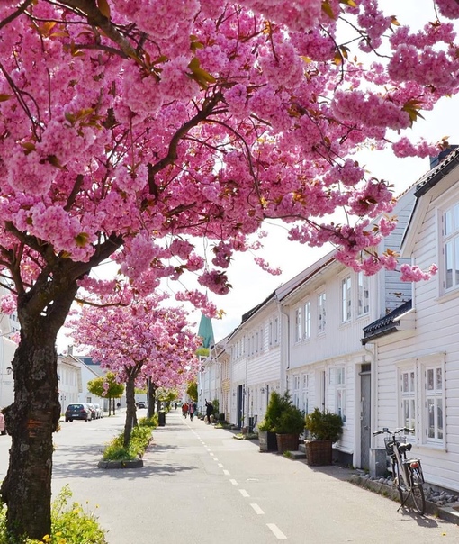 Весенняя Норвегия 