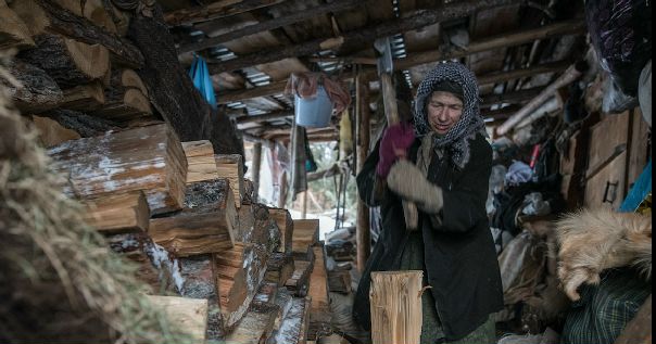 В сети запустили поиск напарницы для отшельницы Агафьи Лыковой. 