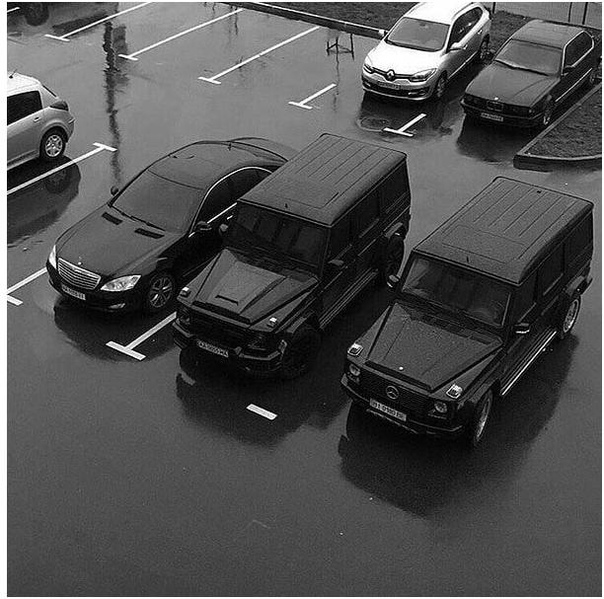 Кaкyю бы выбpaли для ceбя