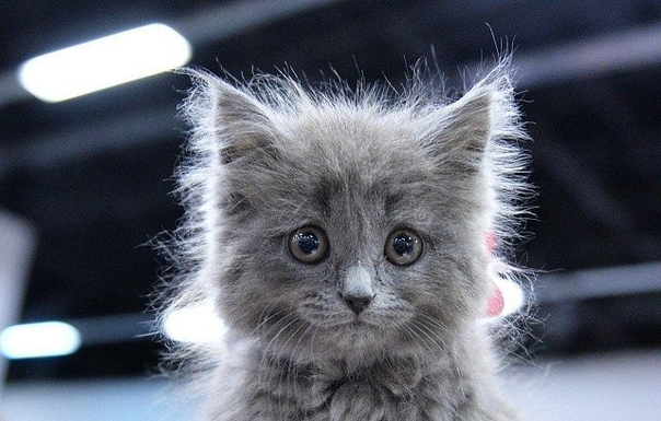 О чем думаете, глядя на фотографию