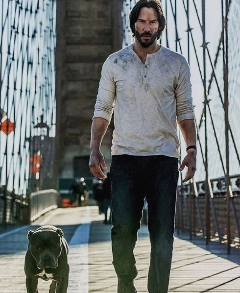 Кому нравится актёр