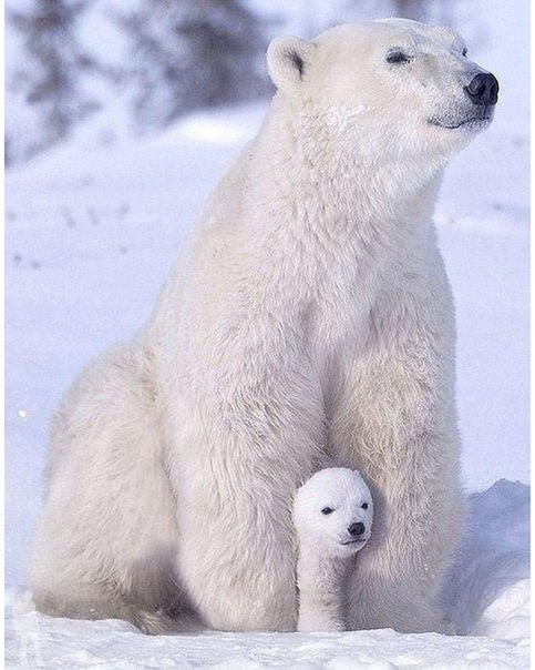 В безопасности.