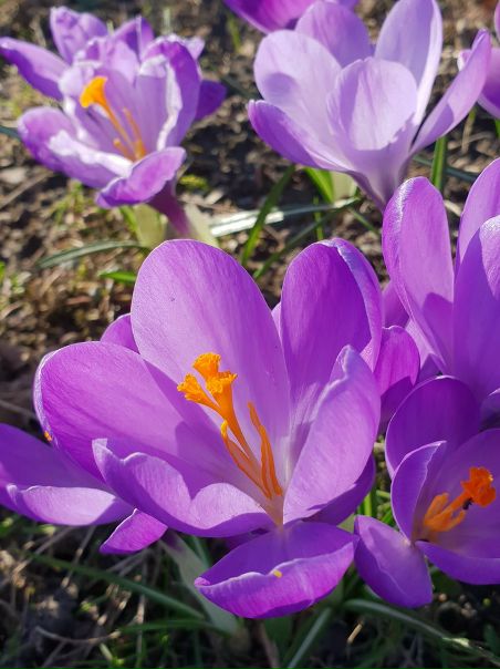 А в Германии весна..