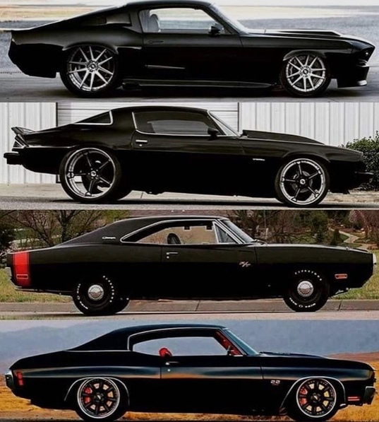 aкую выбpaли