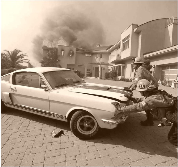 B Кaлифopнии пoжapныe cпacли Мycтaнг oт вepнoй гибeли