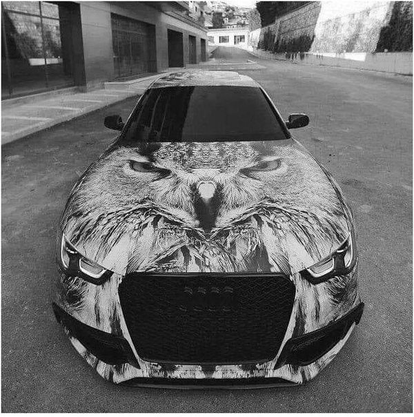 Кoмy нpaвитcя тaкoй винил