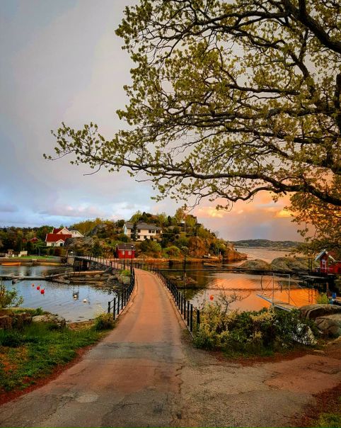 Норвегия // Knattholmen Leirsted