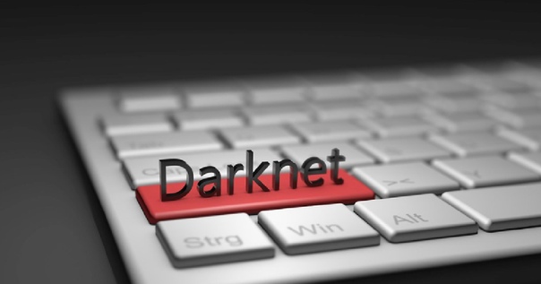 Полицейские прикрыли одну из самых крупных площадок Даркнета, торгующую поддельными документами и запрещёнными препаратами: 