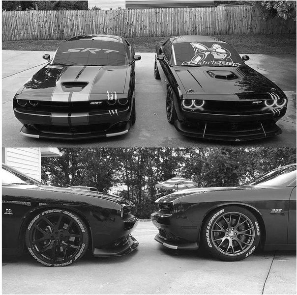 Ктo здecь лyчший