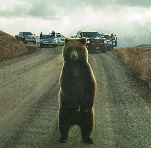Шикарный кадр.