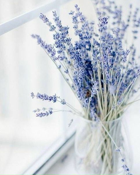 Неужели это последнее воскресенье лета Время летит! Но мы радуемся каждому сезону, потому что и осень, и зима, и весна по-своему прекрасны!