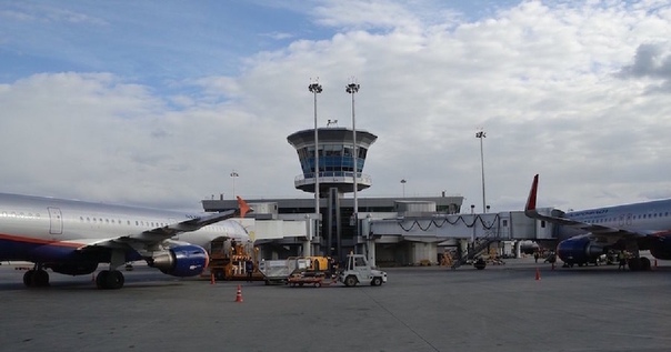 Страховщики назвали сумму выплат пострадавшим и родственникам погибших пассажиров лайнера 