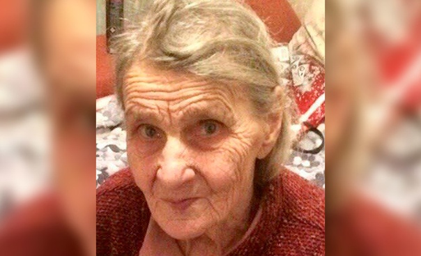 Пропавшая 86-летняя бабушка не достучалась до односельчан и замёрзла насмерть: 