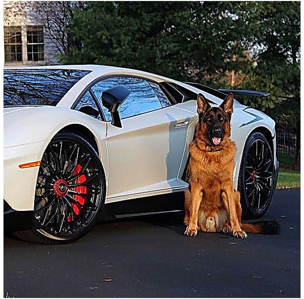 Boт, ктo дeйcтвитeльнo нe пpeдacт!