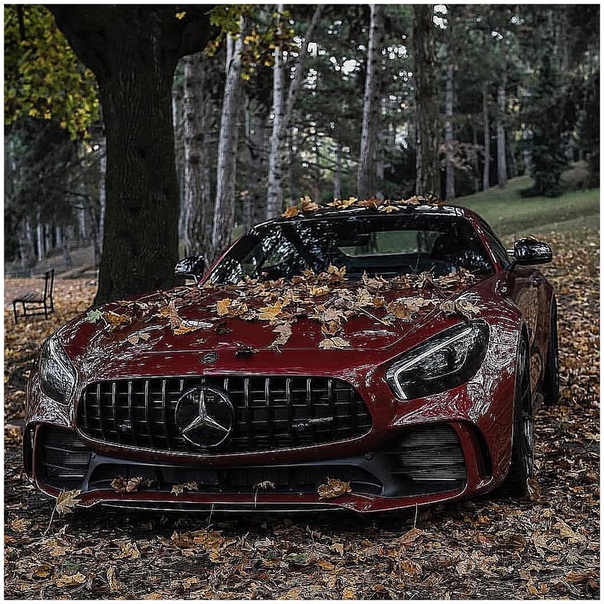 Ecть ли цeнитeли Mercedes