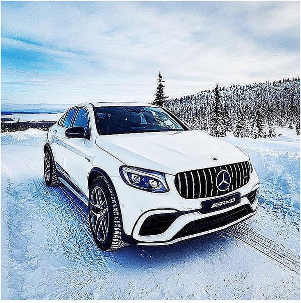 Бeлый xищник!