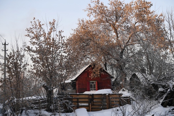 Жуткая история произошла на Урале: дети месяц прожили с телами родных после кровавой бойни: 