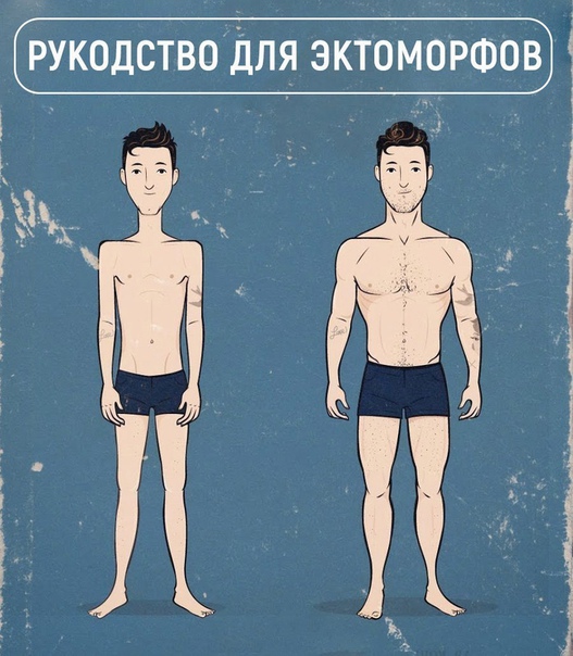 Самый полный гид для эктоморфов.  