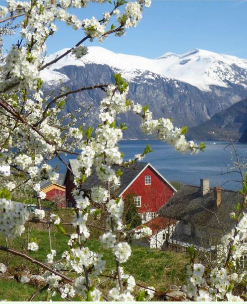Весна в Норвегии // Valldal