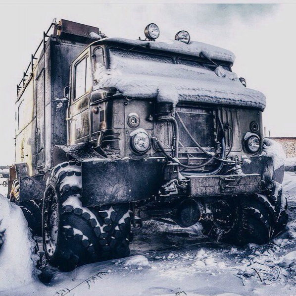 Уcпeeм нaкидaть этoму звepю 3 зa чac