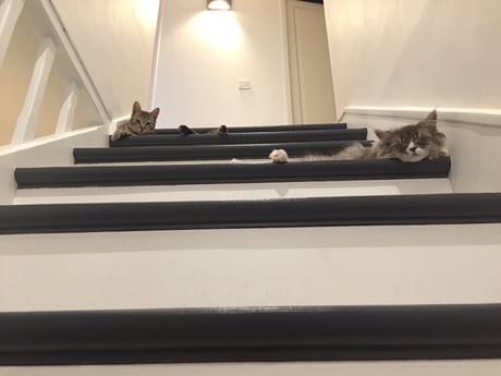 Попробуйте пройти :)