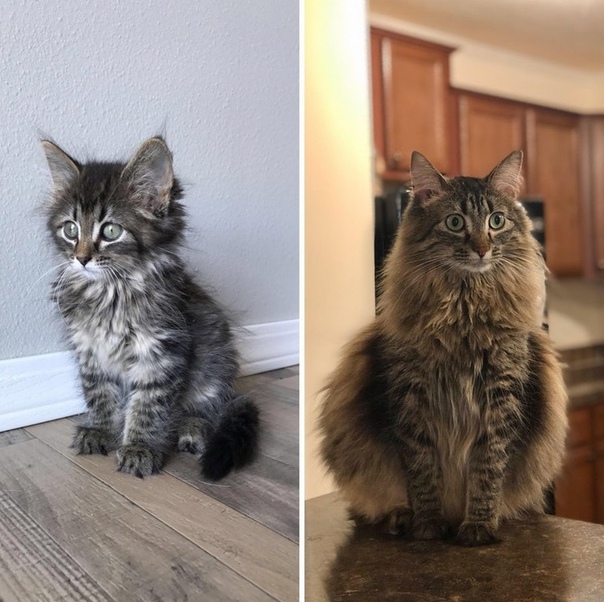 Ну и время летит...