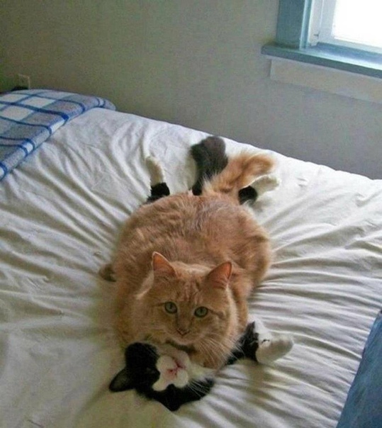 Застукали на горячем.