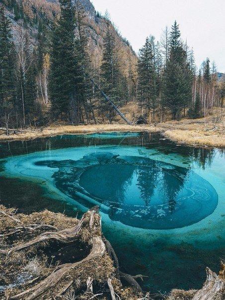 Живое гейзерное озеро в глубине Алтайской республики. 