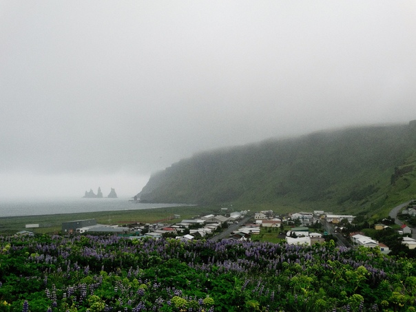 Туманное утро в Исландии