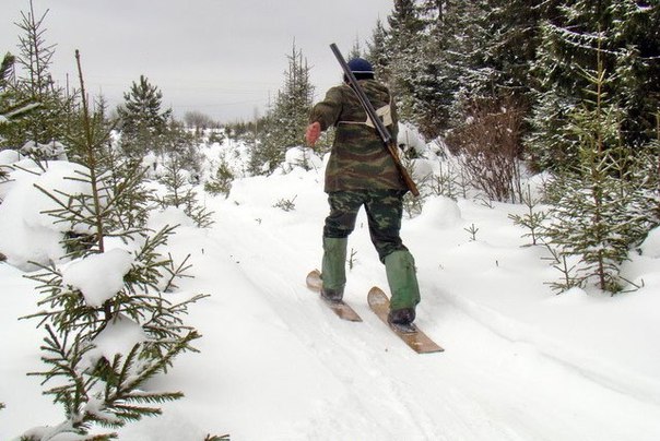 В Пермском крае охотник 10 часов шёл на лыжах, чтобы привести врачей к раненому другу в заброшенную деревню: 