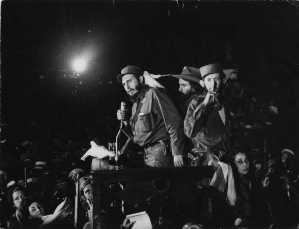 Голубь сел на плечо Фиделя Кастро во время выступления. 8 января 1959