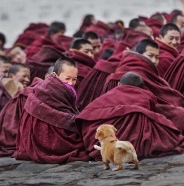 Где-то в тибетском монастыре