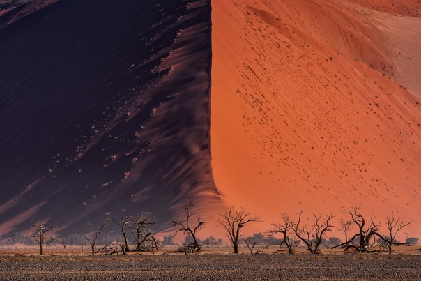 Большая дюна в пустыне Намиб, самой старой пустыне в мире.