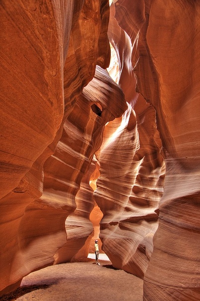 Магическое и таинственное место, которое могла создать только причудливая фантазия природы — это каньон Антилопы, что на юго-западе США в штате Аризона. Свое название эти удивительные расщелины в скалах получили благодаря рыже-красным стенам, столь похожим на шкуру изящной и благородной антилопы.