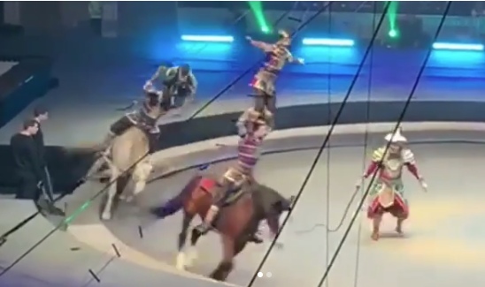 Акробат московского цирка упал с лошади во время шоу — видео: 