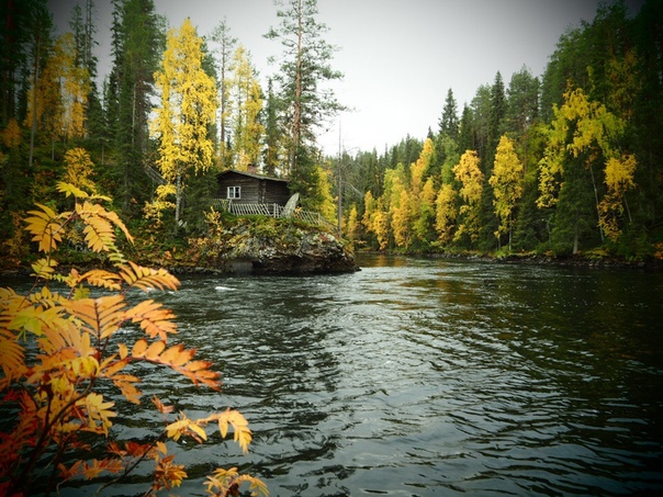 Сегодня с семьёй ездили на многим известное место Myllykoski (Куусамо, Финляндия) Воды меньше чем обычно. Ещё нет буйных красок, но уже красивая осень. Вот несколько фото о нашем походе 