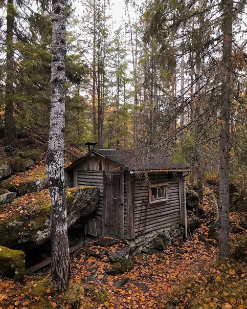 Заброшенный домик в осеннем лесу Норвегии