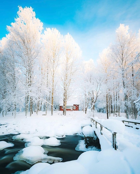 Белоснежная зима в Финляндии